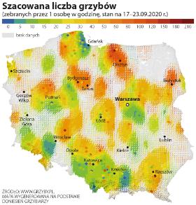 Szacowana liczba grzybów.