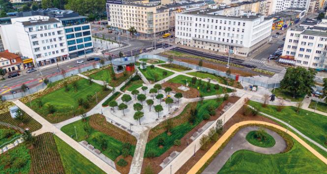 Park Centralny w Gdyni kryje podziemny parking. Posadzono tu 156 drzew. Kiedy je zobaczymy?