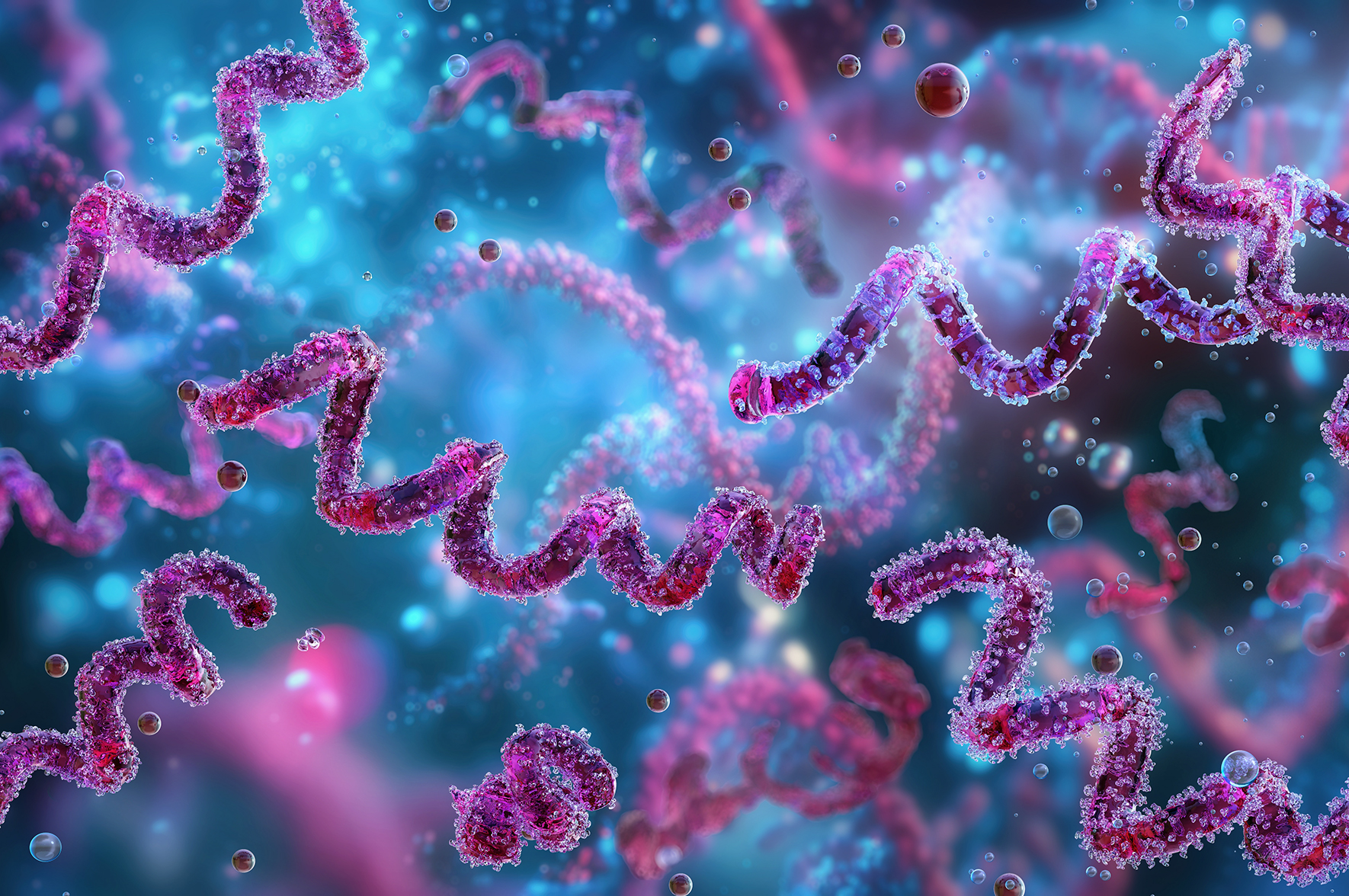 Szczep bakterii wywołującej kiłę krążył po Ameryce Południowej 3 tysiące lat dłużej. I raczej nie dotarł do Europy z Kolumbem