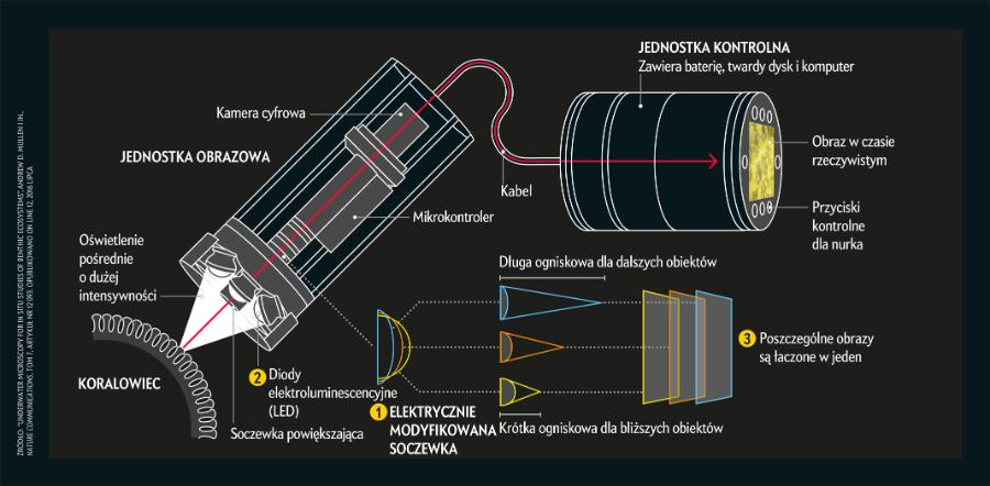 Mikroskopia podwodna
Morskie dno jest przekleństwem mikroskopii. W głębinach mroczne wody i zmieniające się prądy łączą siły w spisku, którego celem jest sprawienie, by dla większości obiektywów drobne obiekty stawały się tylko niewyraźną smugą. Wyjątkowa budowa bentonicznego mikroskopu podwodnego pozwala przezwyciężyć te problemy. Jego centralnym elementem jest zmieniająca kształt soczewka 1, która może się co kilka milisekund spłaszczać lub uwypuklać, dostosowując ogniskową i utrzymując ostrość obrazu. Do oświetlenia celu są wykorzystywane trwające krócej niż miliksekundę, niezaburzające aktywności organizmów impulsy światła z pierścienia LED 2, pozwalające na „zamrożenie” ruchu obiektów i uzyskanie ostrego obrazu. Łącząc ujęcia wykonane przy różnych ogniskowych, można uzyskać jeden obraz, na którym wszystkie elementy obiektu są wyraźnie widoczne 3.