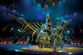 Coraz więcej osób zaczyna się zastanawiać, czy cyrk jest odpowiednim miejscem dla wszelkich zwierząt.