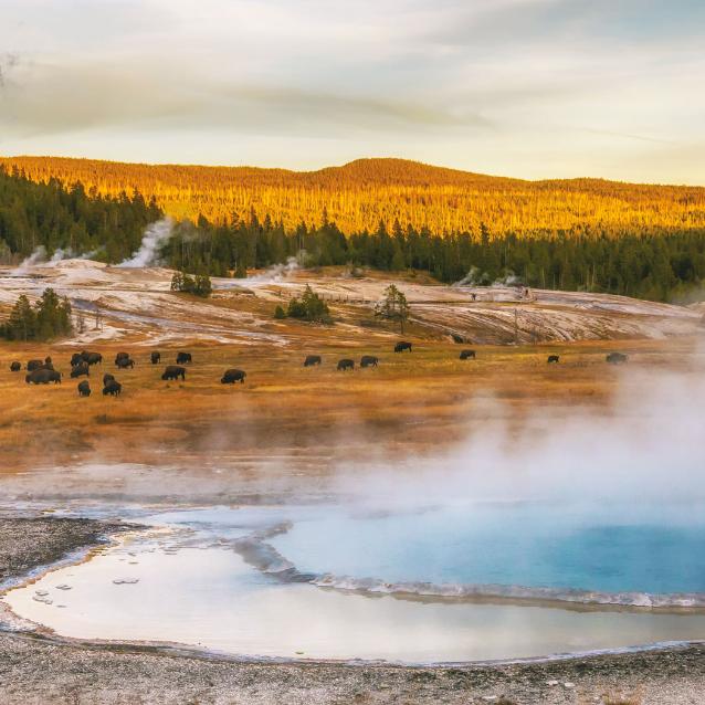 Rój 2182 trzęsień ziemi w Yellowstone National Park dostarczył kluczowych informacji na temat mikrobiologicznego życia.