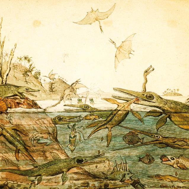 W 1830 r. geolog i paleontolog Henry De la Beche namalował słynną akwarelę „Duria Antiquor, a more ancient Dorset” przedstawiającą wizję dawnego życia u wybrzeży Anglii.
