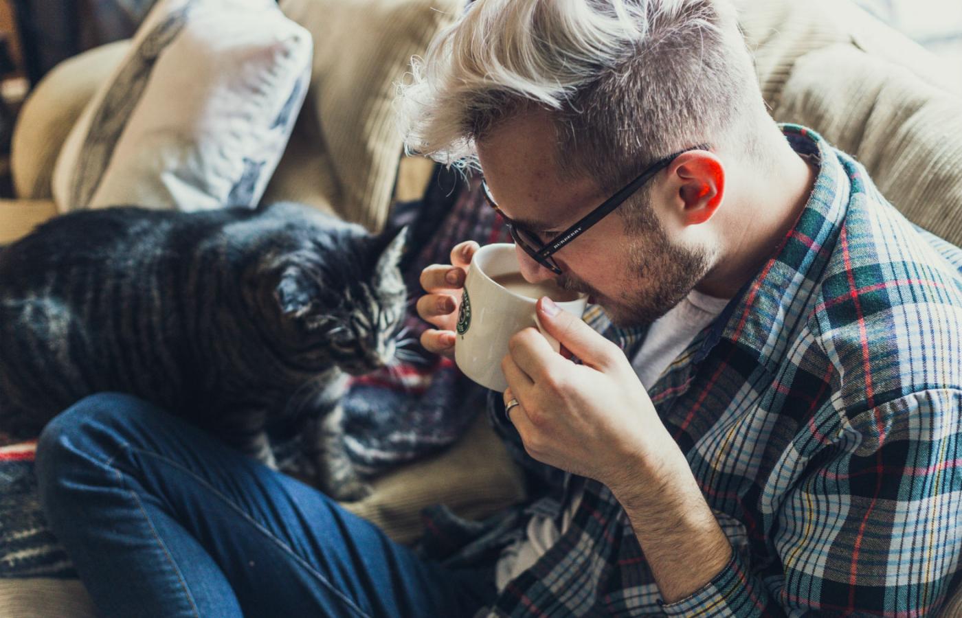 Naukowcy dowiedli, że kot woli spędzać czas z człowiekiem niż jeść.