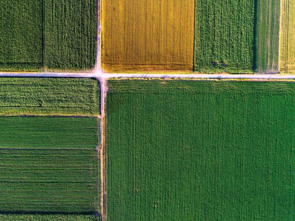 Wszystkich gruntów rolnych jest w Polsce ponad 15 mln ha, KOWR ma władzę także nad prywatnymi.