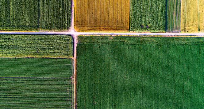 Wszystkich gruntów rolnych jest w Polsce ponad 15 mln ha, KOWR ma władzę także nad prywatnymi.