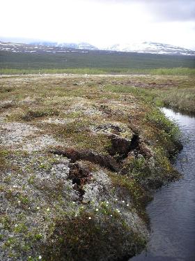 Pęknięcia w wiecznej zmarzlinie. Północna Szwecja.