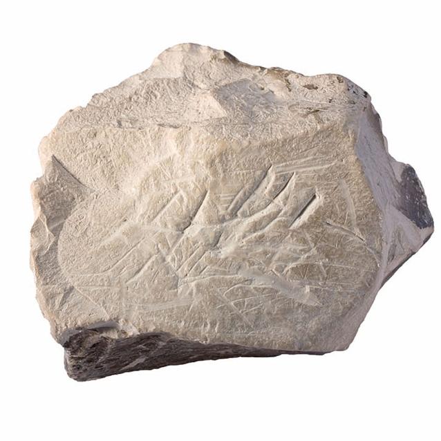 Bryłka kaolinu, zbudowanego głównie z minerału o nazwie kaolinit.