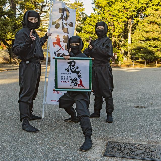 Odwiedzając japoński Zamek Nagoya, turyści mają okazję zobaczyć ninja w akcji.