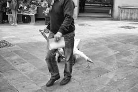 Liczba potencjalnych desperatów stale rośnie. W 2011 r. zbankrutowało blisko 12 tys. włoskich firm, czyli o 20 proc. więcej niż rok wcześniej. W tym roku ich los może podzielić aż 20 tys. przedsiębiorstw.