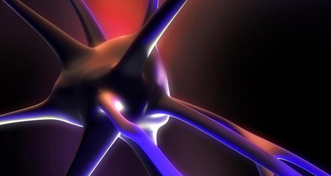 Nasze na pozór racjonalne wybory mają często fizjologiczne, czysto zmysłowe podłoże.