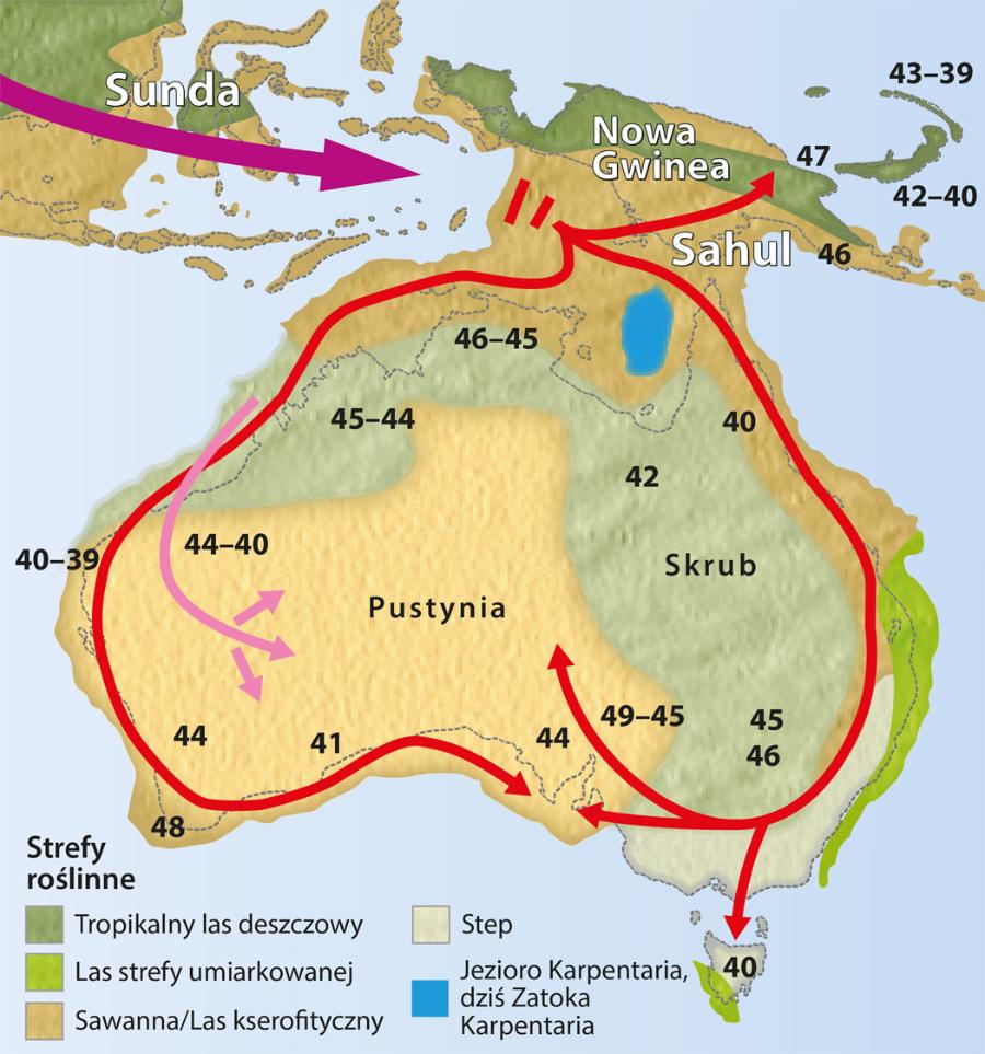 Szybka wędrówka ludzi przez Australię nastąpiła 48–50 tys. lat temu (dane ze stanowisk archeologicznych podano w tys. lat). Sunda i Sahul to prehistoryczne lądy. Poziom oceanu był wtedy niższy.