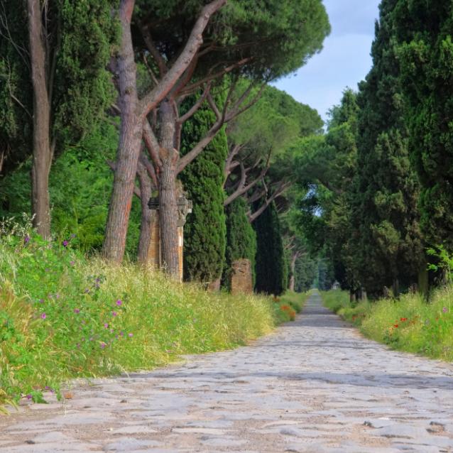 Pulsar - wyjątkowy portal naukowy.