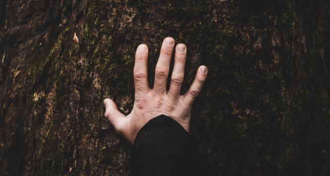 Dotyk jest pierwszym zmysłem, jaki rozwija się w życiu płodowym człowieka.