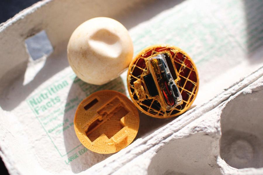 Jajo wabik z widocznym modułem elektroniki i GPS.