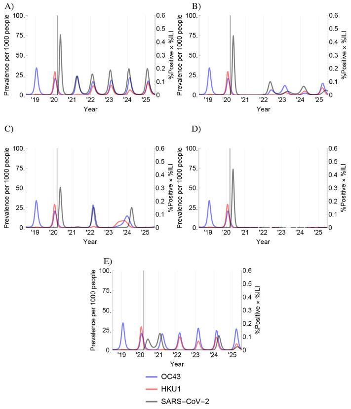 Scenariusze inwazji – krzywe (czarna to SARS-CoV-2, pozostałe dwa kolory to łagodniejsze koronawirusy wywołujące sezonowe przeziębienia) pokazują liczbę przypadków (procentowo) na 1000 osób w zależności od długości trwania odporności człowieka (który zetknął się patogenem), sezonowości Covid-19 oraz tzw. odporności krzyżowej (zakażenie jednym koronawirusem uodparnia na pozostałe). Szara pionowa linia to przyjęty początek obecnej epidemii (poza Azją). Scenariusz (A) zakłada krótkotrwałą odporność człowieka na SARS-CoV-2, co powoduje coroczne powracające fale epidemii o podobnym nasileniu. Scenariusz (B) to dłużej utrzymująca się odporność skutkuje ponownym wzrostem zachorowań, a później mniejszymi „pikami” w kolejnych latach.Scenariusz (C) to właściwie wariant B, tyle że ze zwiększoną sezonowością aktywności wirusa.Scenariusz (D) zakłada, że długotrwała odporność człowieka prowadzi do wyeliminowania wirusa.Scenariusz (E) oznacza, że jeśli odporność jest średnia, epidemia wróci w 2024 r. po wcześniejszym przygaszeniu.
