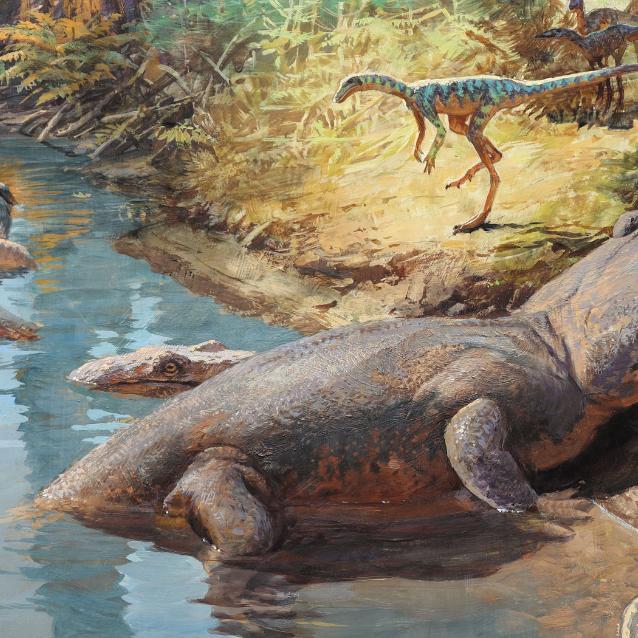 Nie wygląda na zwycięzcę: prekursor dinozaurów, Dromomeron, przemyka się chyłkiem nad brzegiem jeziora, 212 mln lat temu, na terenie należącym dziś do Ghost Ranch w Nowym Meksyku. W pobliżu czeka olbrzymi płaz – Koskinonodon.
