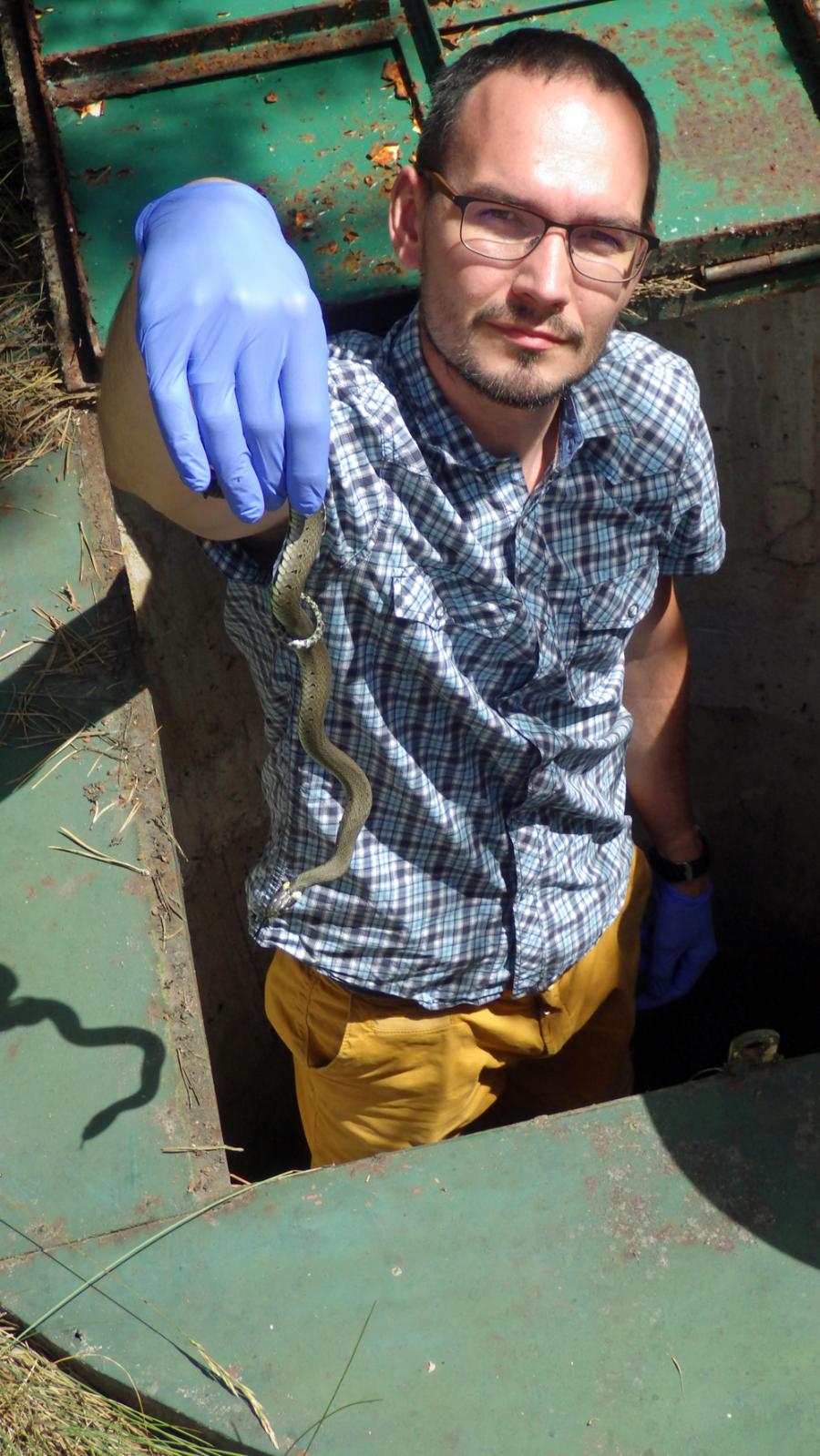 Dr inż. Mikołaj Kaczmarski jest herpetologiem. Zajmuje się także ochroną przyrody, ekologią i różnorodnością biologiczną.