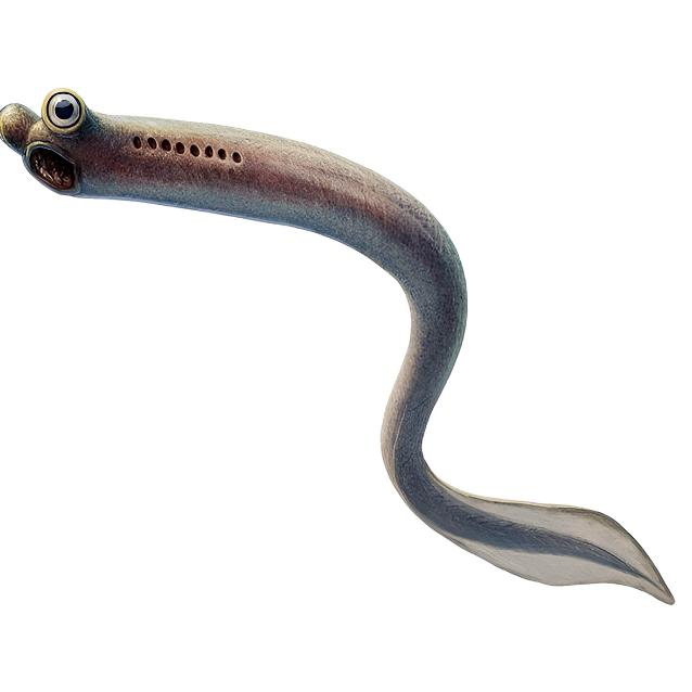 Pulsar - wyjątkowy portal naukowy.