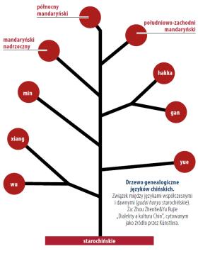 Drzewo genealogiczne języków chińskich.