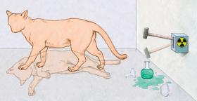 W słynnym doświadczeniu myślowym Schrödingera kot jest jednocześnie żywy i martwy.