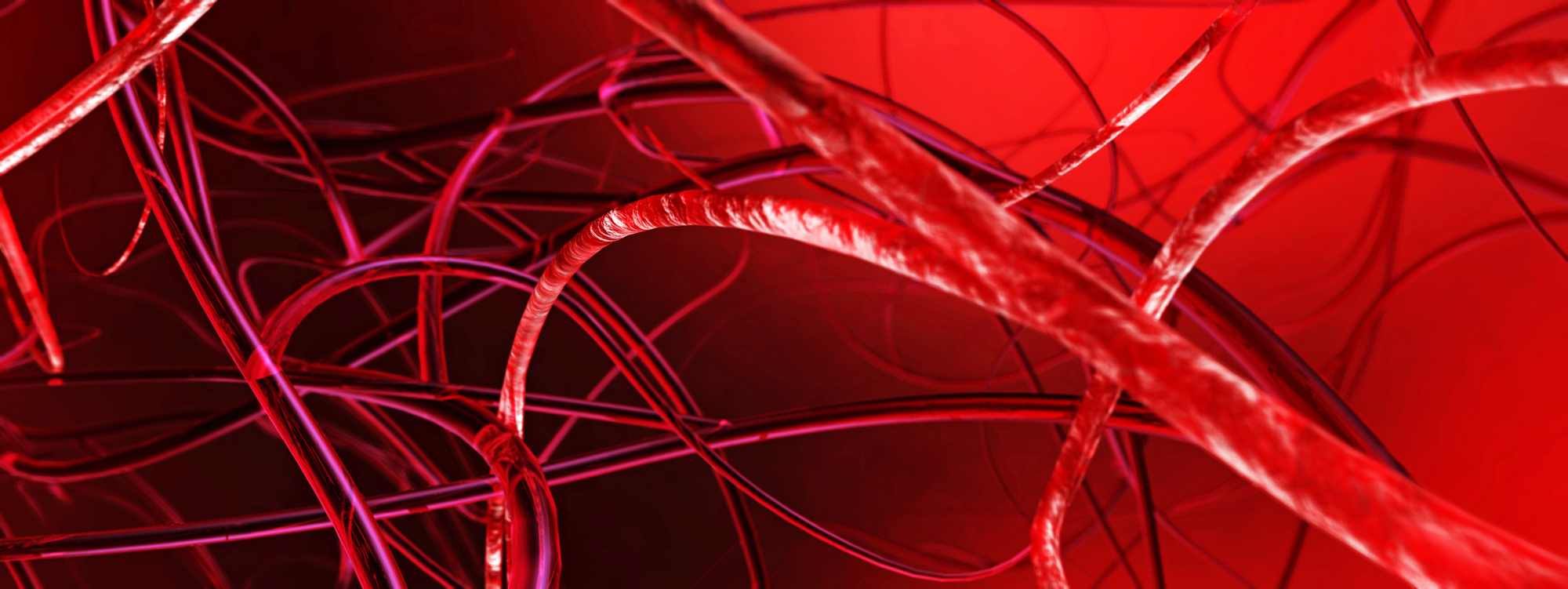 Nowy organoid: droga dla krwi