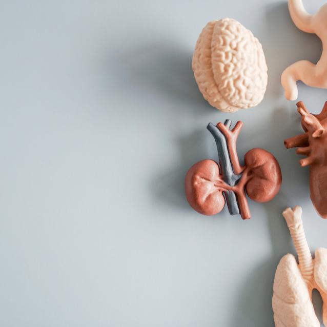 Pulsar - wyjątkowy portal naukowy.