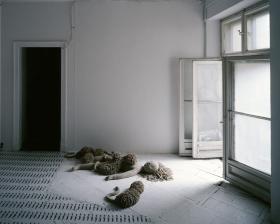 Lalki Anety Grzeszykowskiej.