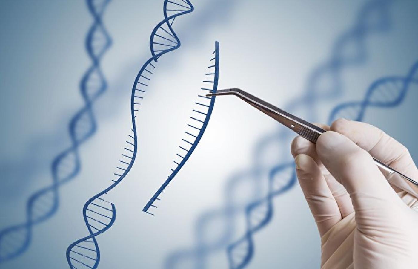 Rok temu chiński naukowiec He Jiankui poinformował o narodzinach dwóch dziewczynek, których genom edytowano przy pomocy narzędzi inżynierii genetycznej.