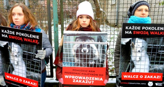 Protest przeciwników futer pod domem Jarosława Kaczyńskiego w Warszawie
