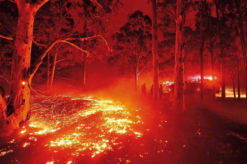 Pożary w Australii nigdy jeszcze nie osiągnęły takiej skali (na zdjęciu – okolice miasta Nowra w stanie Nowa Południowa Walia).