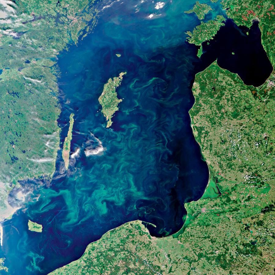 Zakwity fitoplanktonu na Morzu Bałtyckim widziane z satelityZakwity fitoplanktonu na Morzu Bałtyckim widziane z satelity.