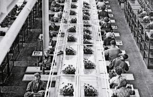 „XXI w. to najwyższy czas, aby wszyscy zatrudnieni na naszym rynku pracy byli równo i sprawiedliwie traktowani”.