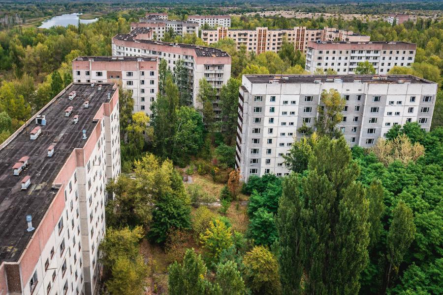 Przyroda w Prypeci bardzo szybko zagarnęła miasto. Dla naukowców to miejsce wielu eksperymentów i badań.