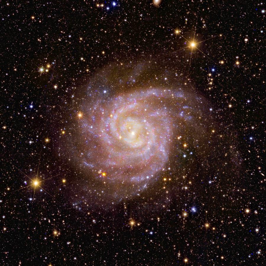 Galaktyka spiralna IC342