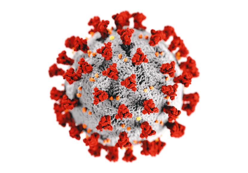 Czy wirus COVID-19 ma ssawki?