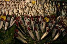 Palamuta można zamówić w drogiej restauracji, ale równie dobrze można go zjeść w barze niedaleko mostu Galata, przy plastikowych stołach i na jednorazowych talerzach. Wyciągnięte na wierzch czerwone skrzela pozwalają ocenić kupującemu czy ryby są świeże.