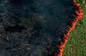 Płonący las w Amazonii.