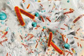 Sepsa nie jest chorobą. To reakcja organizmu na zakażenie patogenami – wirusami lub bakteriami.