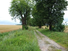 Urzekający pejzaż zachodnich Kaszub w okolicach Słupska.