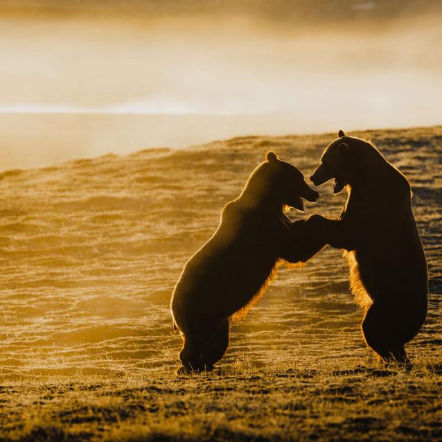 Pulsar - wyjątkowy portal naukowy.