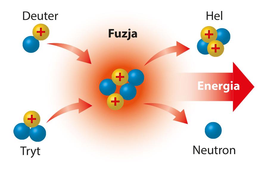 W efekcie połączenia się dwóch atomów izotopów wodoru – deuteru i trytu – powstaje atom helu, neutron i ogromna ilość energii.