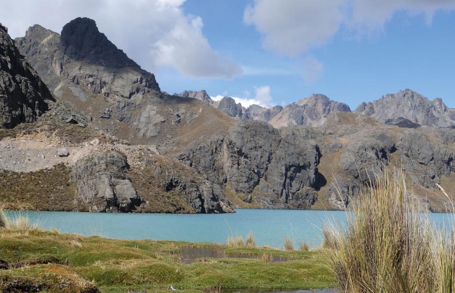 Przedsiębiorstwa gospodarki wodnej w Peru chronią torfowiska, które magazynują duże ilości wody.