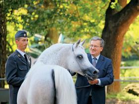 „Komorowski przeszedł długą polityczną szkołę, ma w sobie odporność pozwalającą na przetrwanie nawet wielkich trudności”.