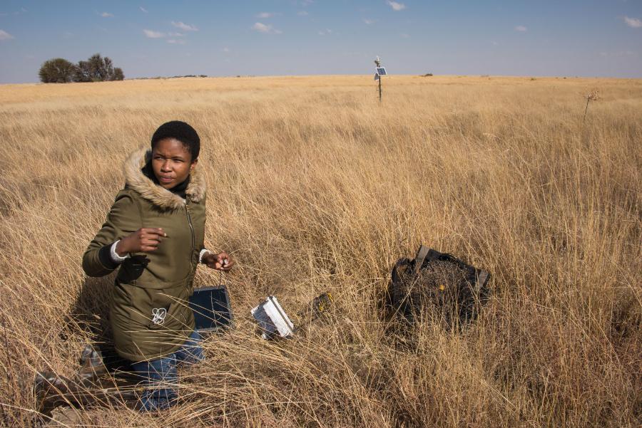 Jedna z 22 stacji meteorologicznych ustawionych w RPA w ramach projektu EcoHealth poświęconego gorączce Doliny Ryftowej. Na pierwszym planie: studentka Zikkona Gqalaqka wykonuje pomiary wilgotności gleby.