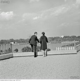 A przede wszystkim, to 'coś'.