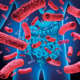 Kto by pomyślał, że bakterie obecne w przewodzie pokarmowym będą w pewnym sensie nadzorowały pracę mózgu, komunikując się z nim za pośrednictwem nerwu błędnego?