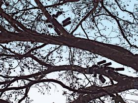 „Kamery montowane są wysoko, obraz jest ziarnisty, a gdy do tego sprawca ma czapkę, okulary czy szalik, identyfikacja jest bardzo trudna”.