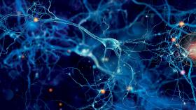 W życiu codziennym nieustająco mamy do czynienia z informacjami, które są niepoprawne.