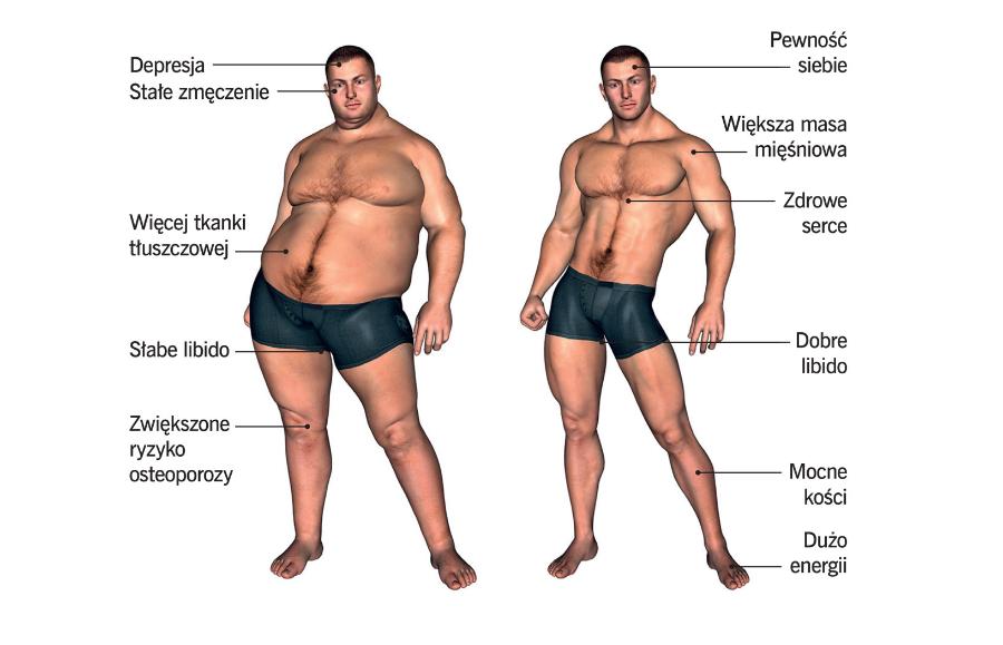 Korzyści z optymalnego stężenia testosteronu w organizmie; po lewej osoba mająca za niski poziom tego hormonu.